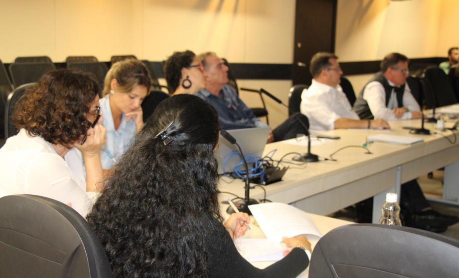 Reunião do CIB discute ampliação do Piso de acolhimento institucional para crianças e adolescentes - Foto: Divulgação Sejuf