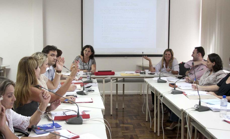 Reunião do CIB Foto: Ricardo Marajó/SEDS